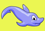 Dolphin Dash