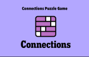 Connections Puzzle