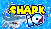 SHARK IO