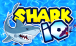 Shark.io